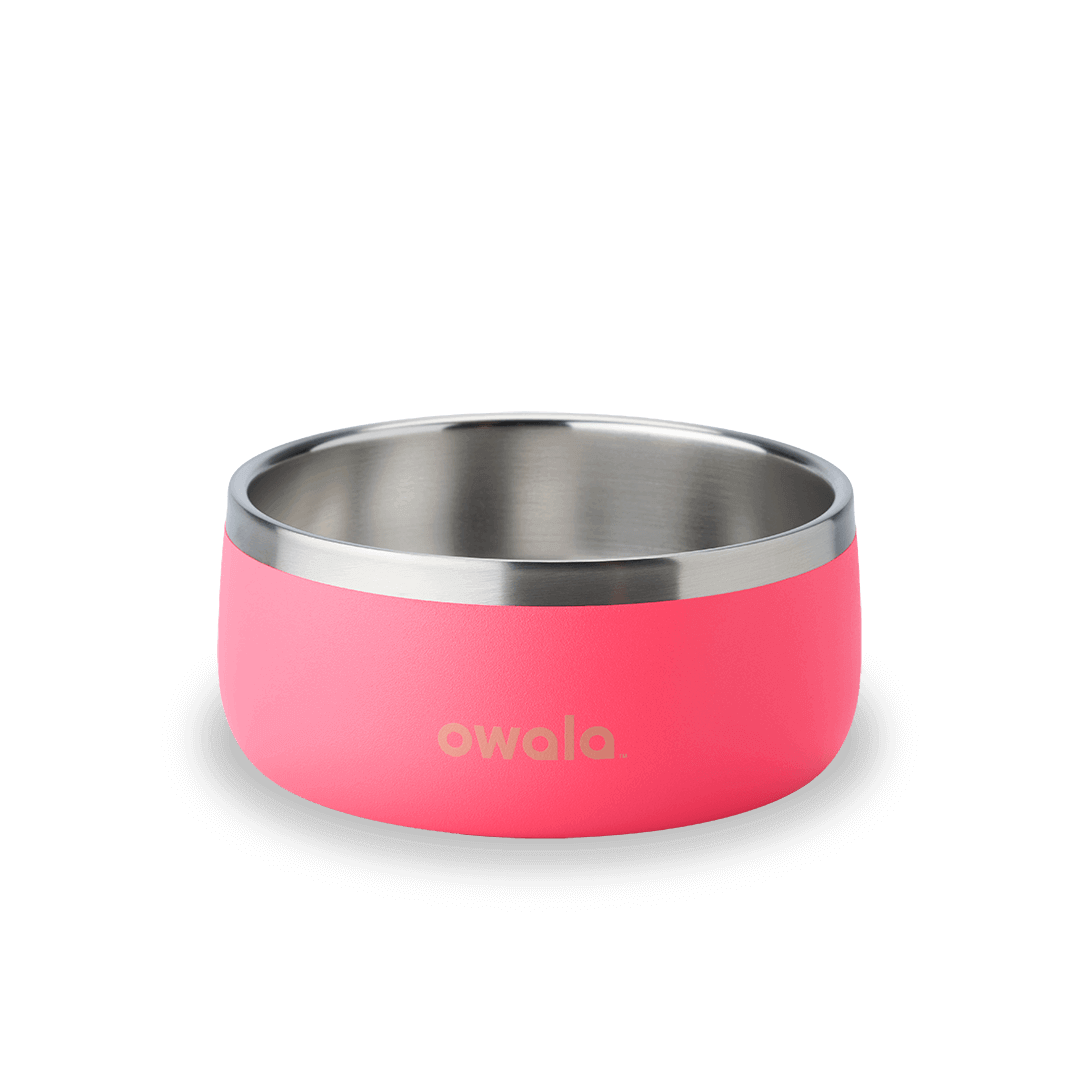 Stainless Steel Pet Bowl product image 15