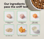Large-Breed Ancient Grains Dog Kibble product image 3