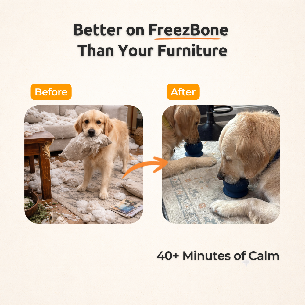 Fillable Dog Chew Toy product image 4