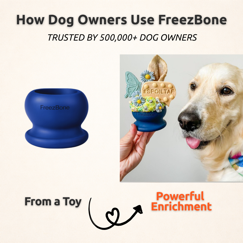 Fillable Dog Chew Toy product image 8