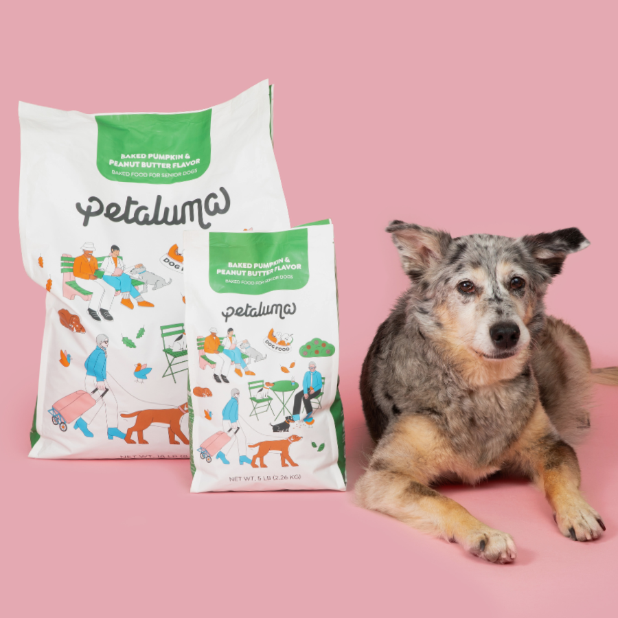 Senior Dry Dog Food product image 1