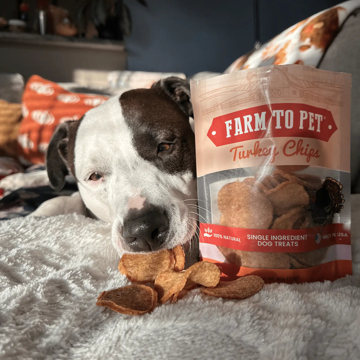 Turkey Chips for Dogs | All-Natural Single-Ingredient Healthy Dog Treats product image 3