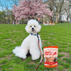 Turkey Chips for Dogs | All-Natural Single-Ingredient Healthy Dog Treats product image 4