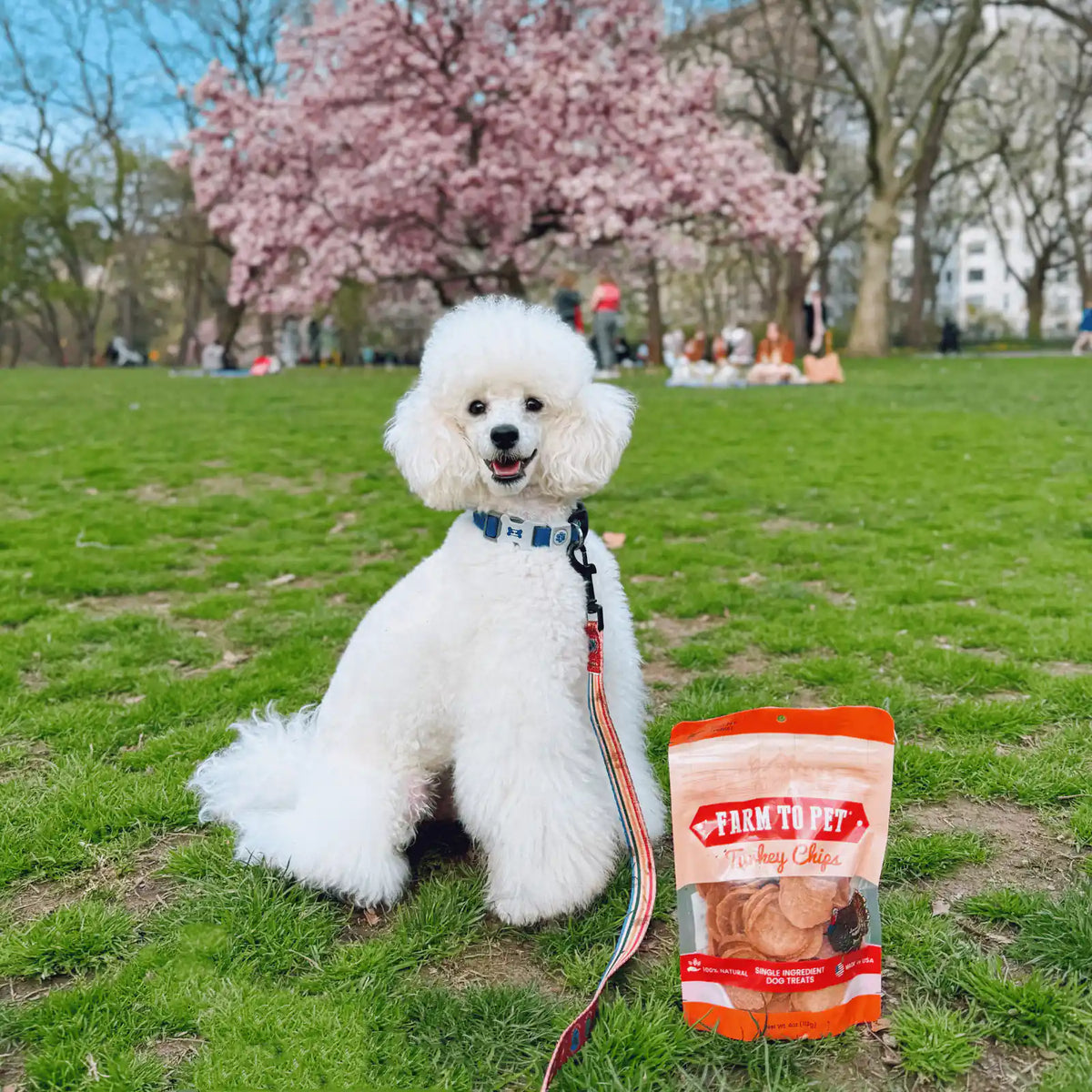 Turkey Chips for Dogs | All-Natural Single-Ingredient Healthy Dog Treats product image 4