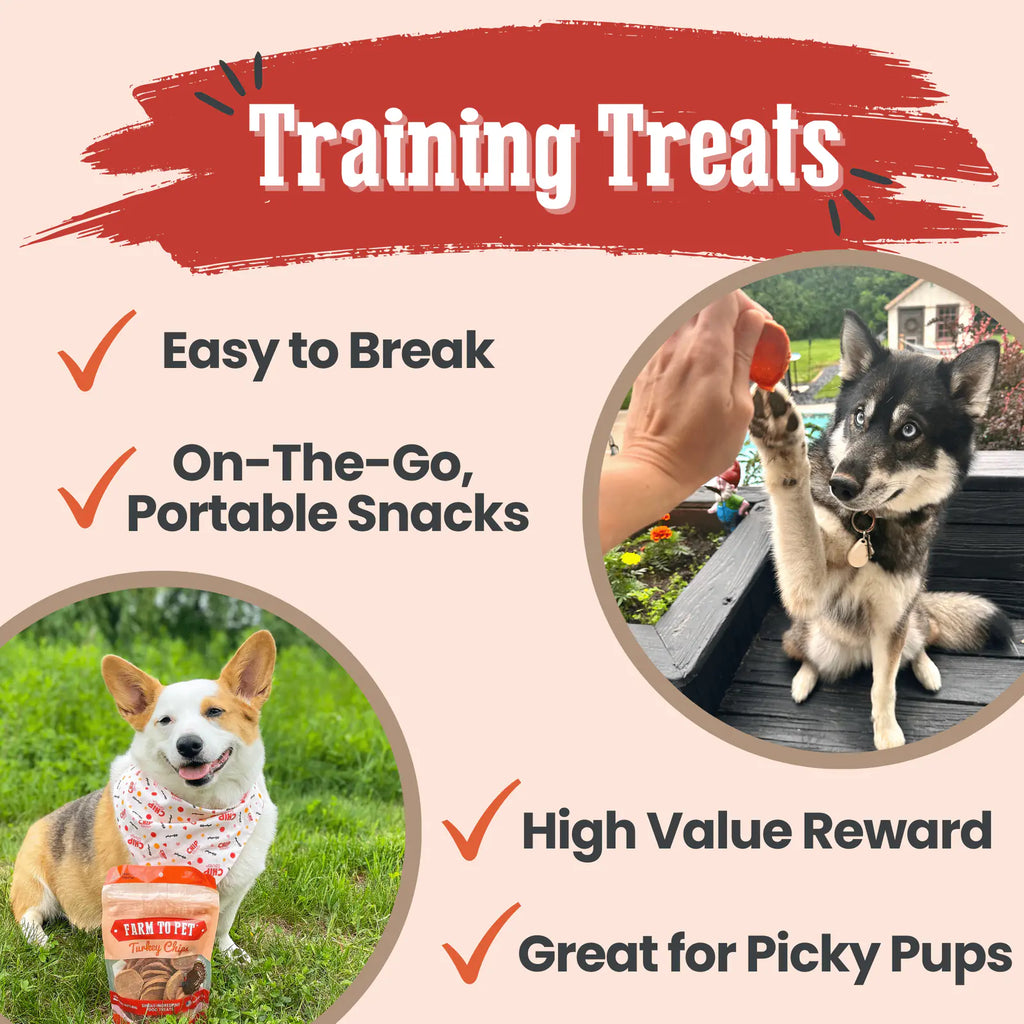 Turkey Chips for Dogs | All-Natural Single-Ingredient Healthy Dog Treats product image 5