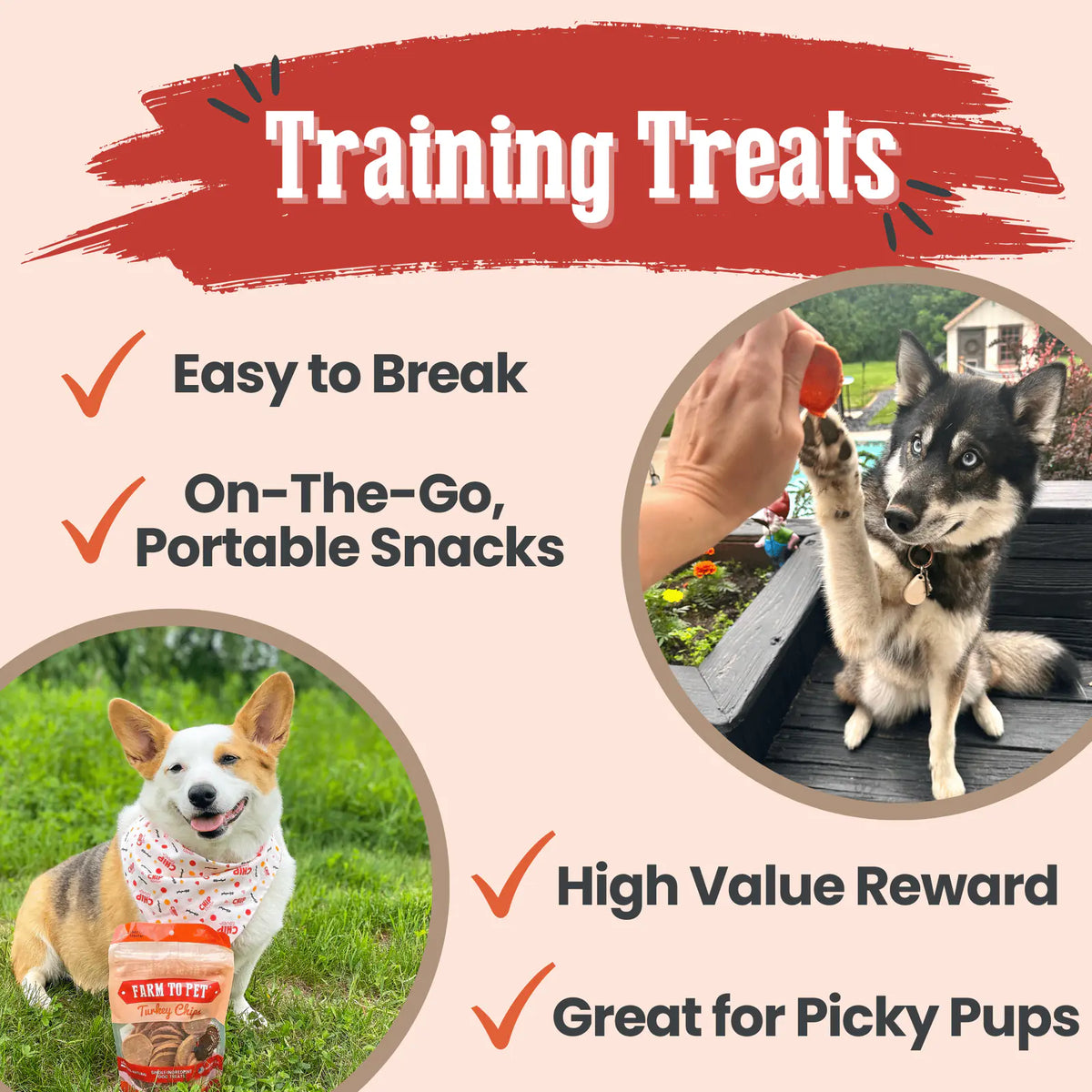 Turkey Chips for Dogs | All-Natural Single-Ingredient Healthy Dog Treats product image 5