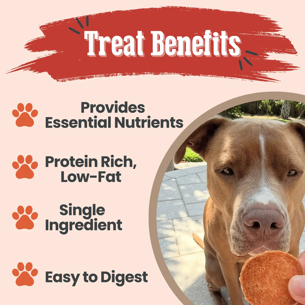 Turkey Chips for Dogs | All-Natural Single-Ingredient Healthy Dog Treats product image 6