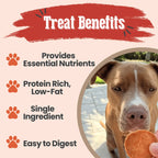 Turkey Chips for Dogs | All-Natural Single-Ingredient Healthy Dog Treats product image 6