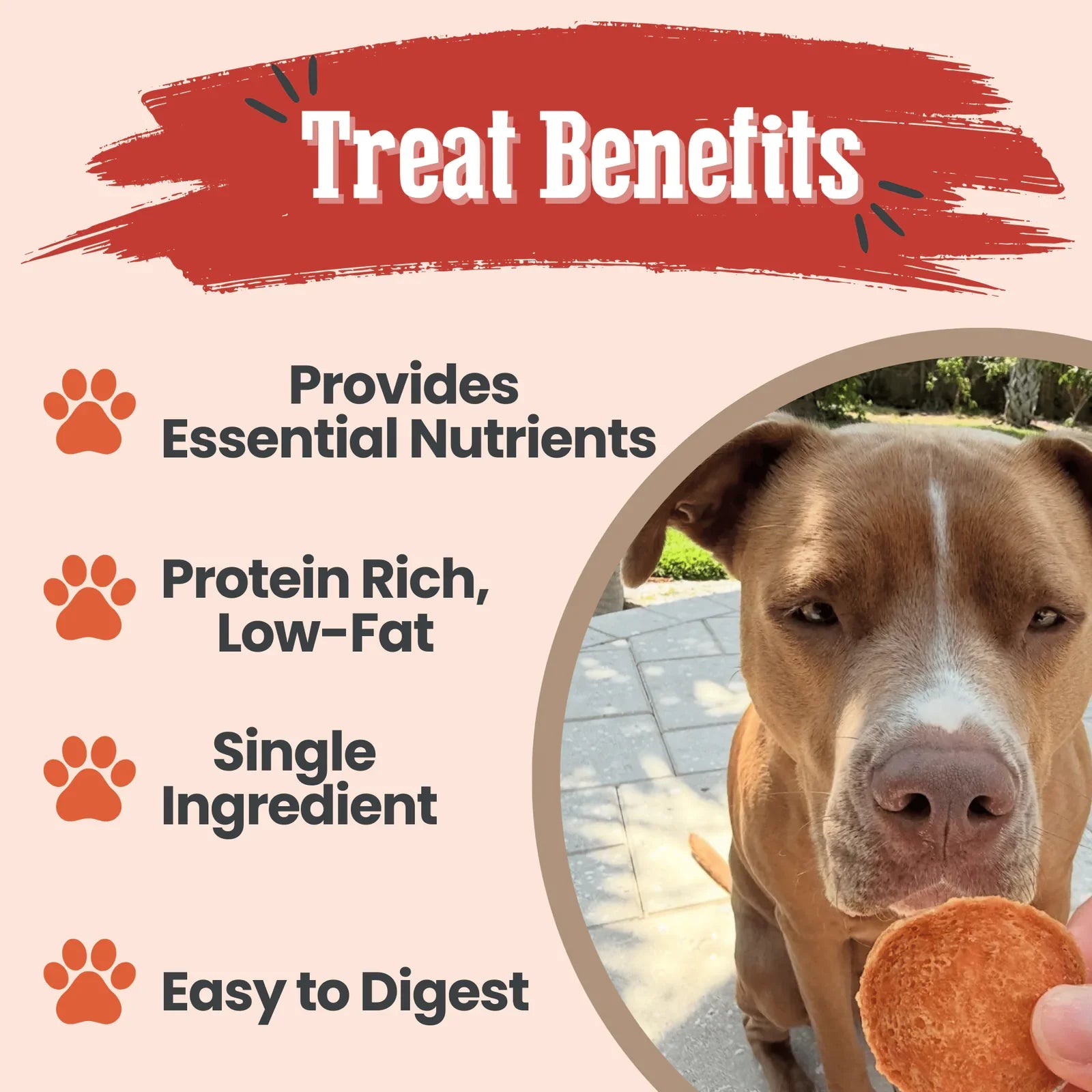 Turkey Chips for Dogs | All-Natural Single-Ingredient Healthy Dog Treats product image 6