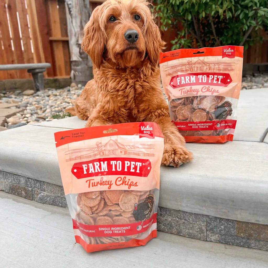 Turkey Chips for Dogs | All-Natural Single-Ingredient Healthy Dog Treats product image 11