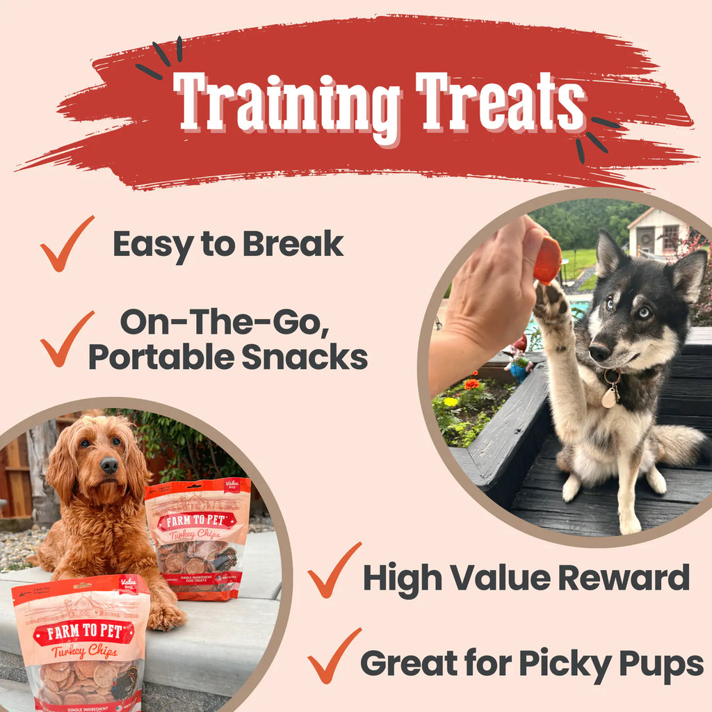 Turkey Chips for Dogs | All-Natural Single-Ingredient Healthy Dog Treats product image 12