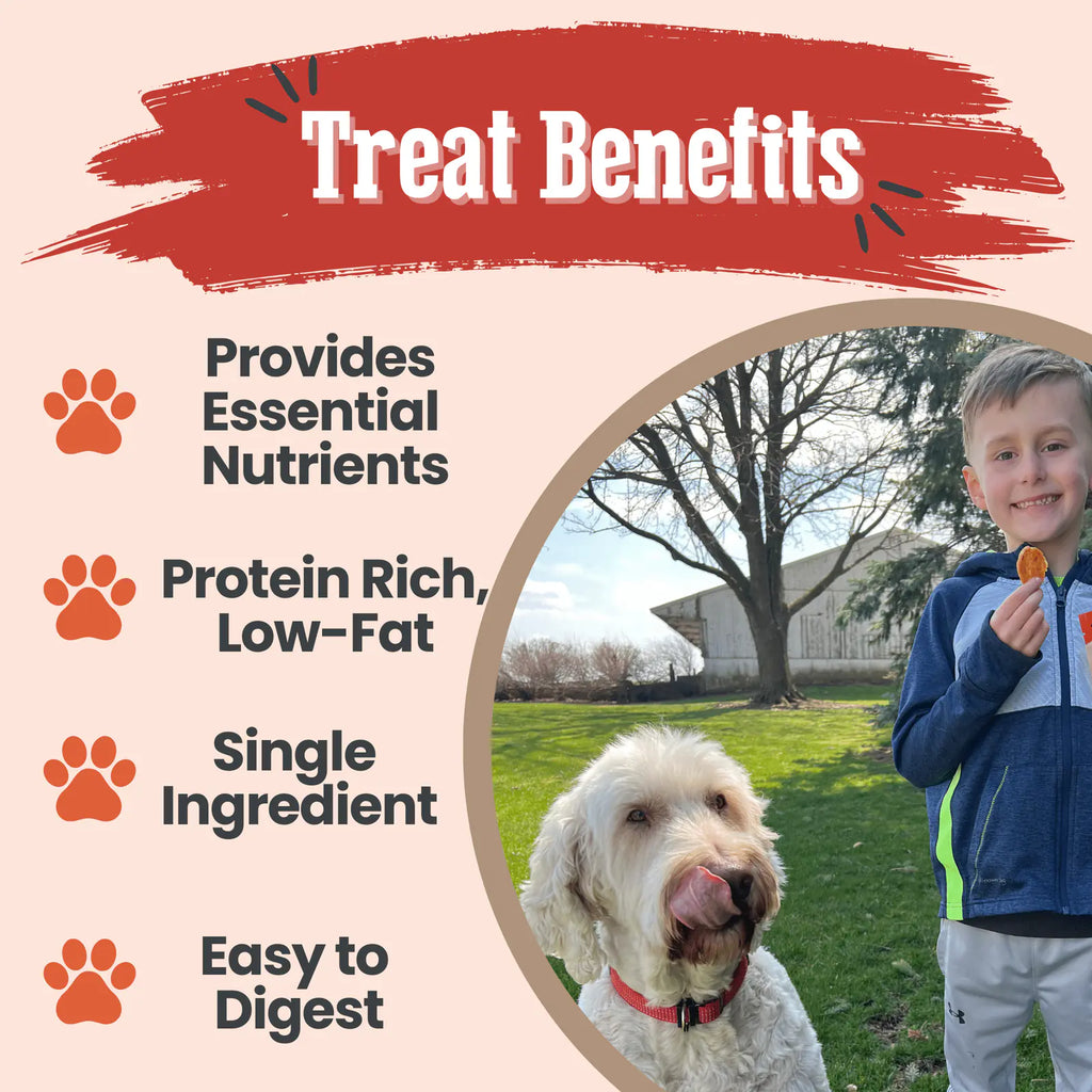 Turkey Chips for Dogs | All-Natural Single-Ingredient Healthy Dog Treats product image 13