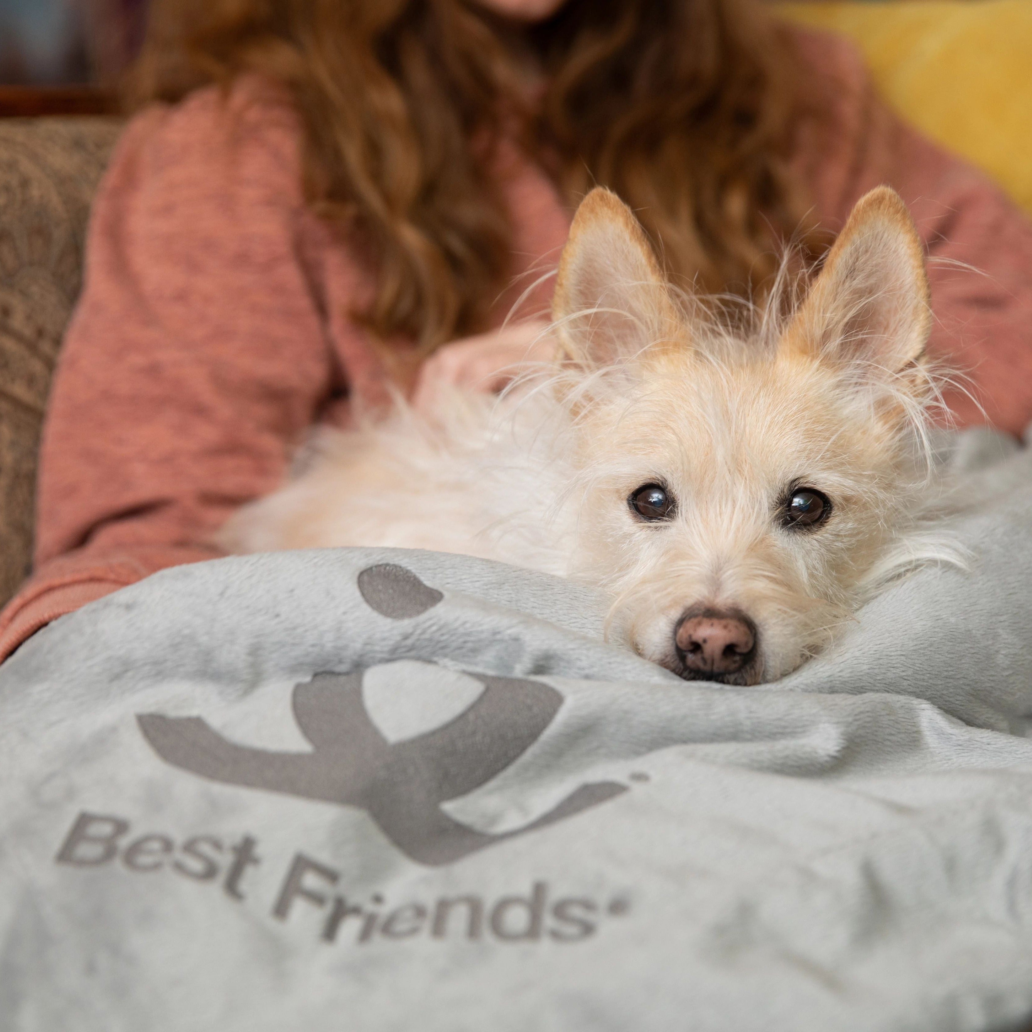Pet Throw Blanket product image 4