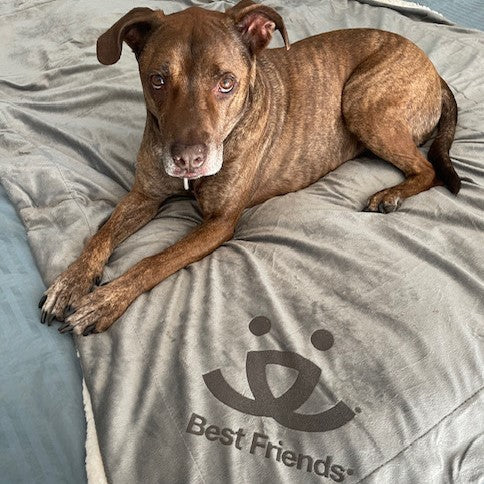 Pet Throw Blanket product image 13