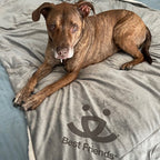 Pet Throw Blanket product image 13
