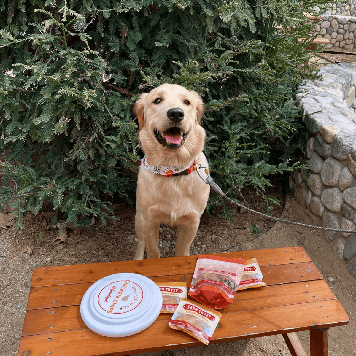 Dog Frisbee product image 3