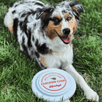 Dog Frisbee product image 4