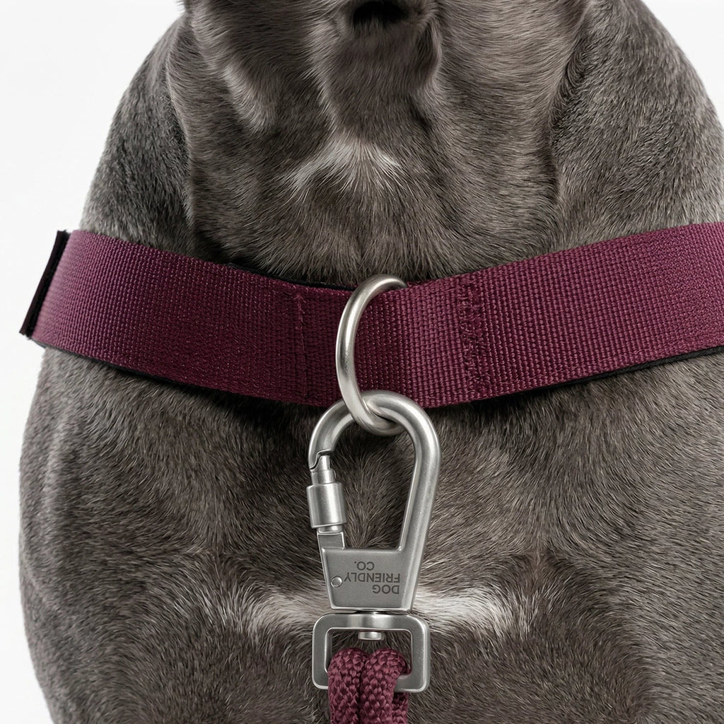 Dog Harness D-Ring Attachment product image 3