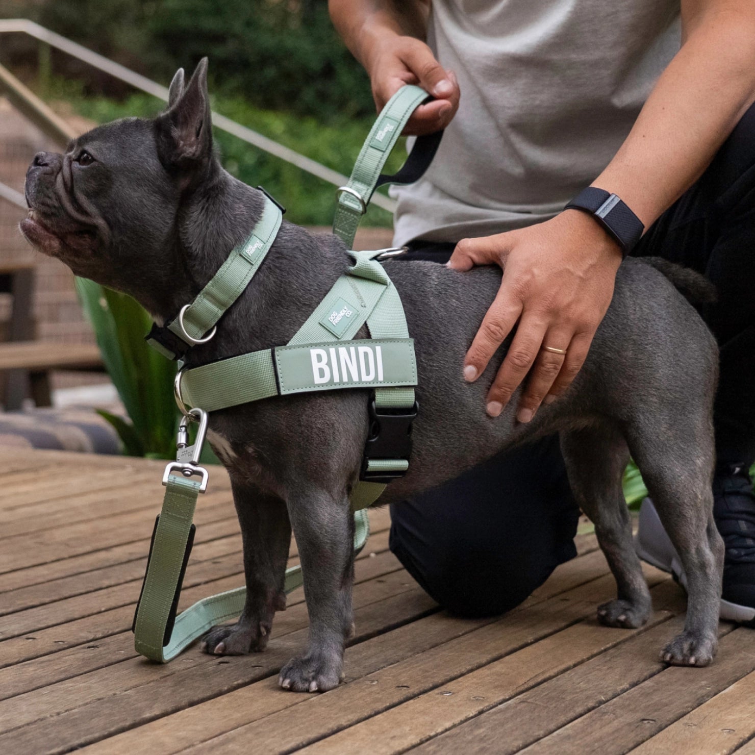 Dog Harness D-Ring Attachment product image 4
