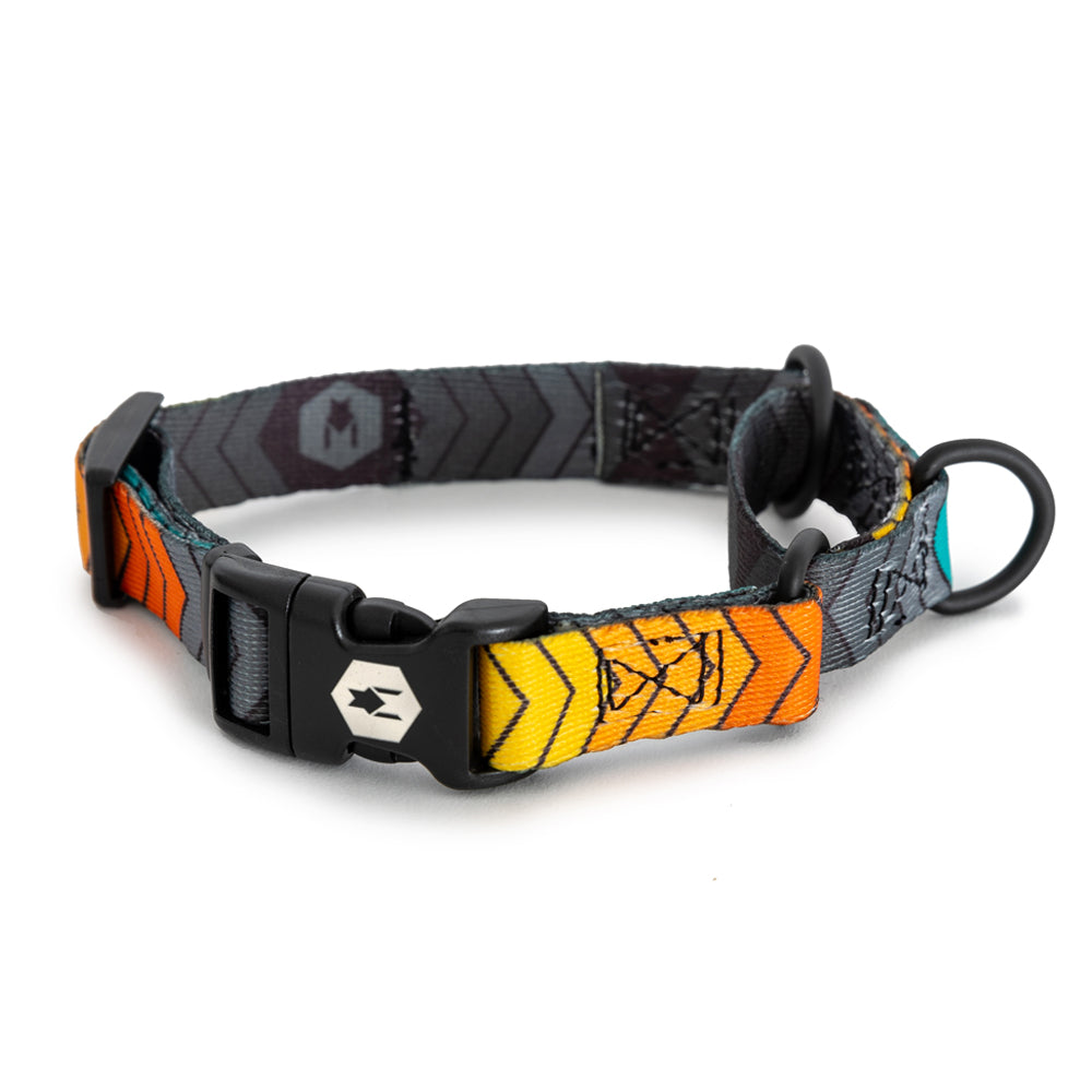 Martingale Dog Collar product image 1