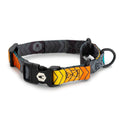Martingale Dog Collar product image 1