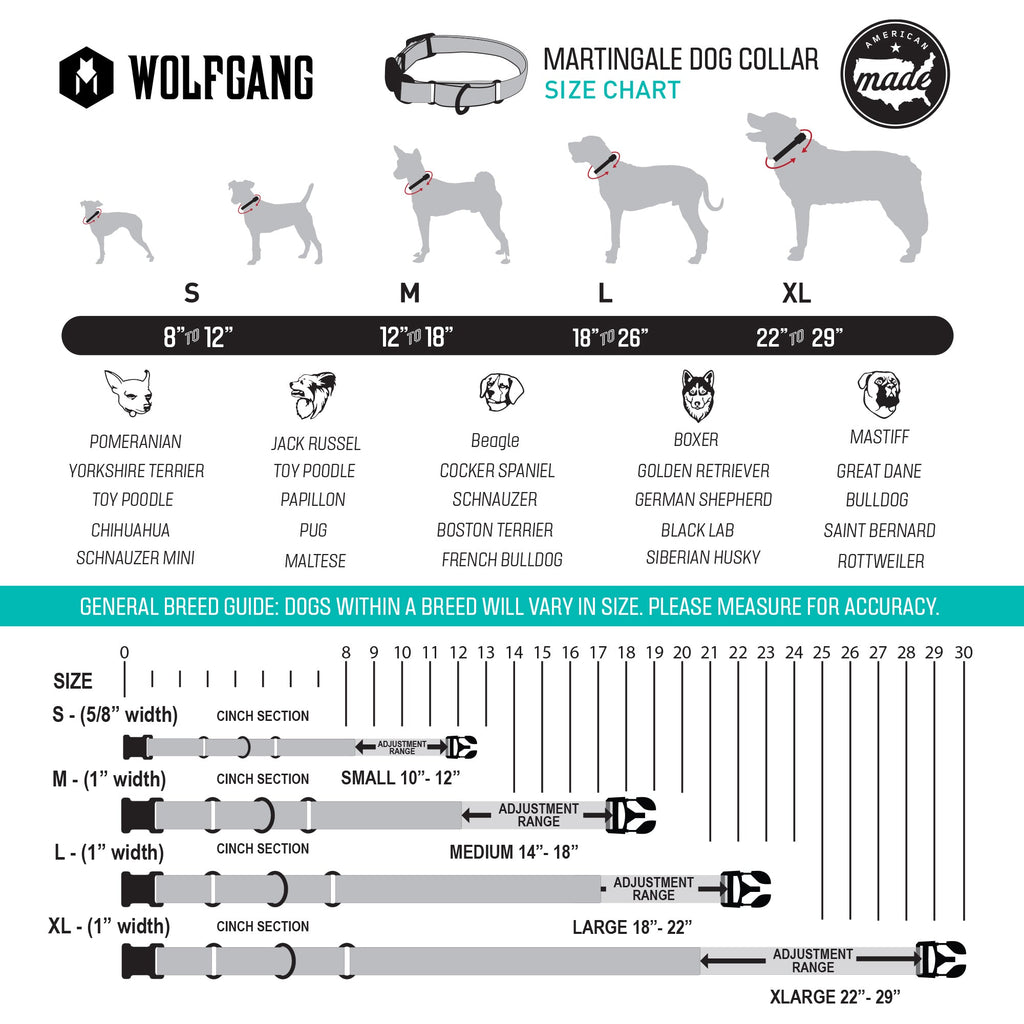 Martingale Dog Collar product image 3