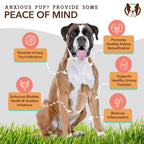 Dog Urinary Supplement product image 2