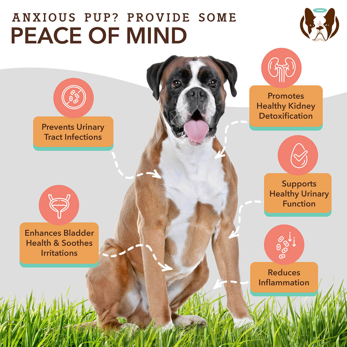 Dog Urinary Supplement product image 2