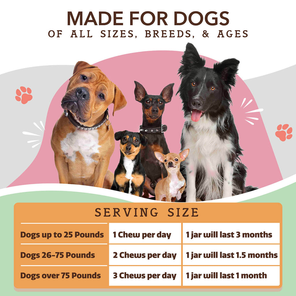 Dog Urinary Supplement product image 7