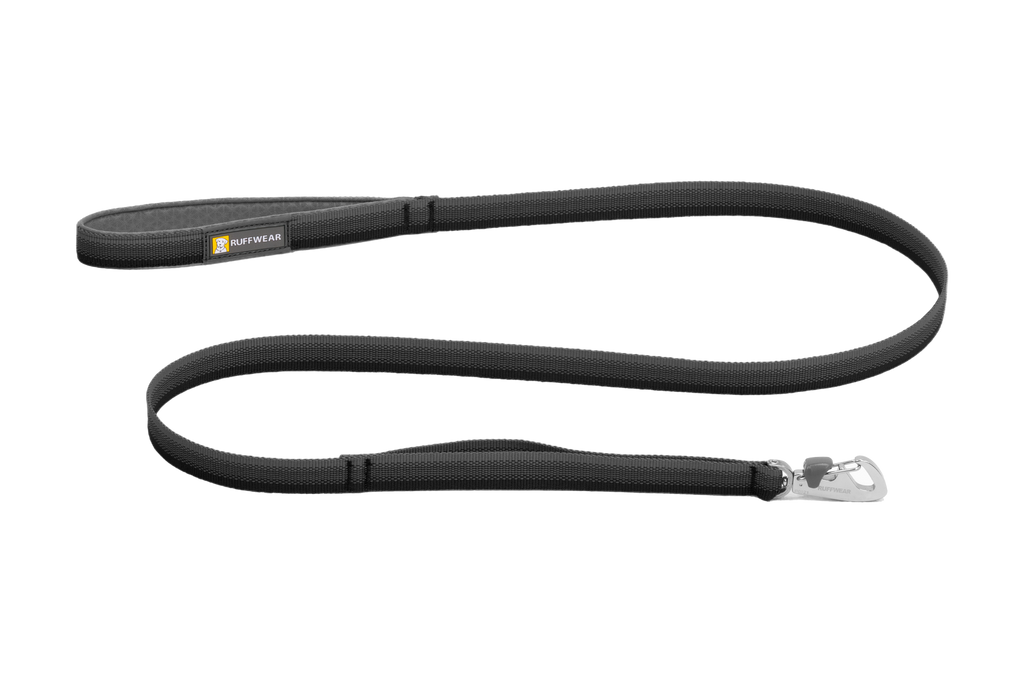Padded Handle Standard Dog Leash, Basalt Gray (042)
