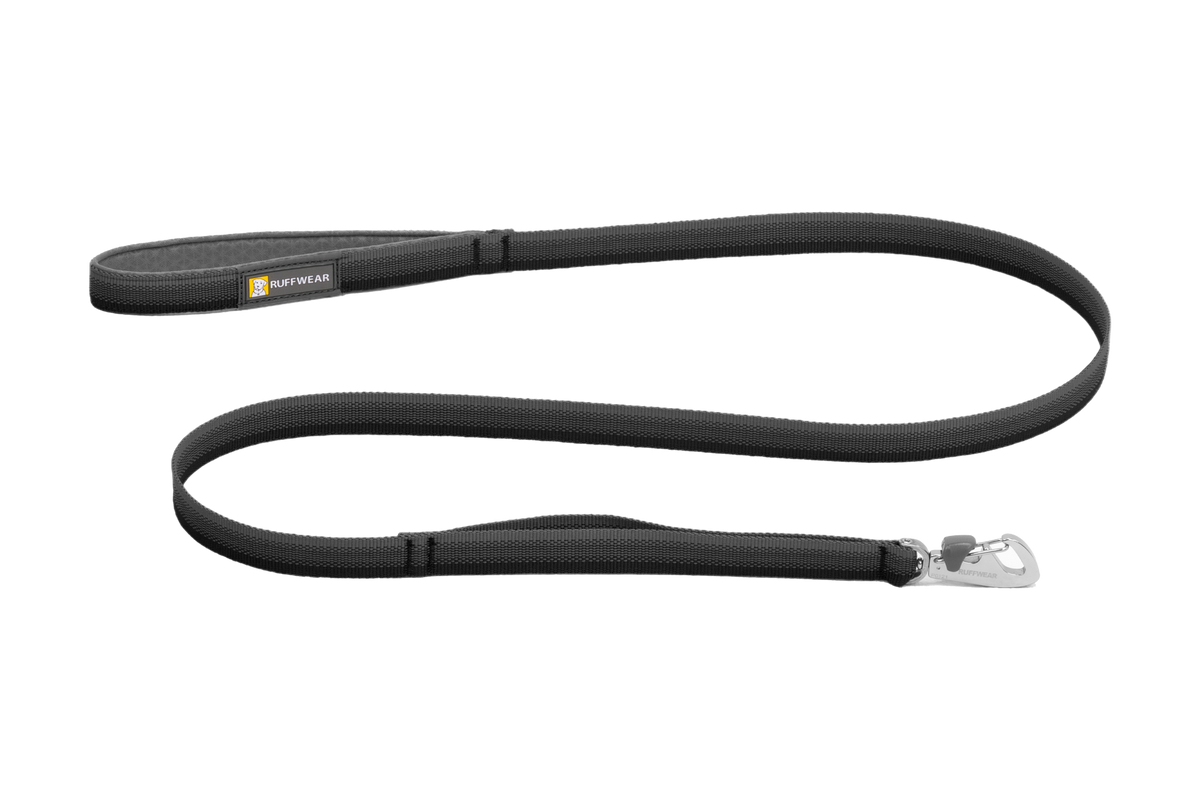 Padded Handle Standard Dog Leash, Basalt Gray (042)