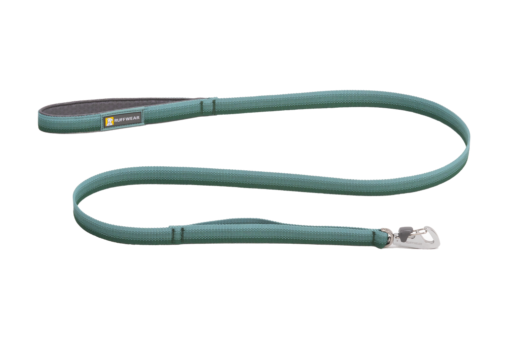 Padded Handle Standard Dog Leash, River Rock Green (355)
