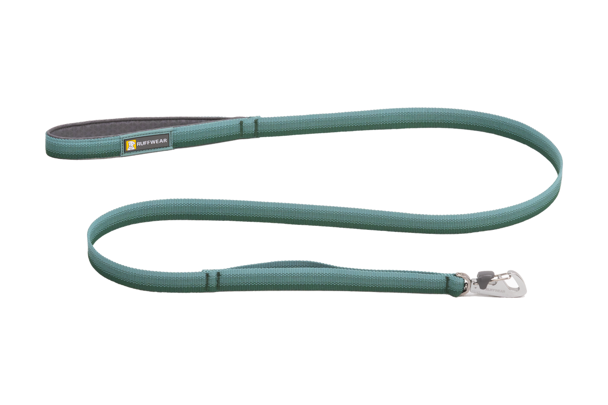 Padded Handle Standard Dog Leash, River Rock Green (355)