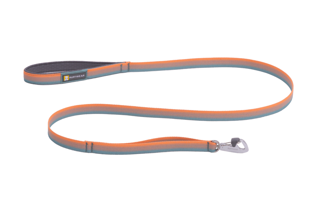 Padded Handle Standard Dog Leash, Spring Fade (320)