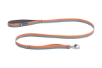 Padded Handle Standard Dog Leash, Spring Fade (320)