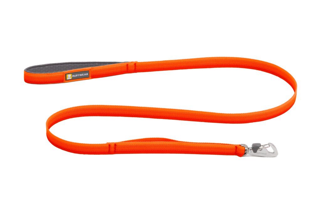 Padded Handle Standard Dog Leash, Blaze Orange (850)