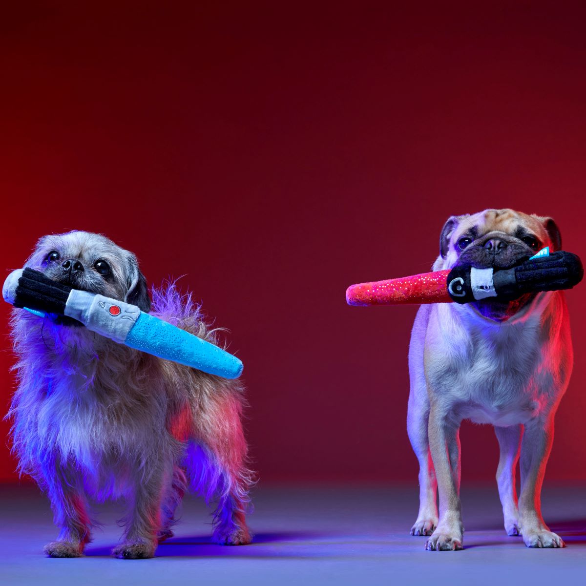 Plush Tug Dog Toy product image 2