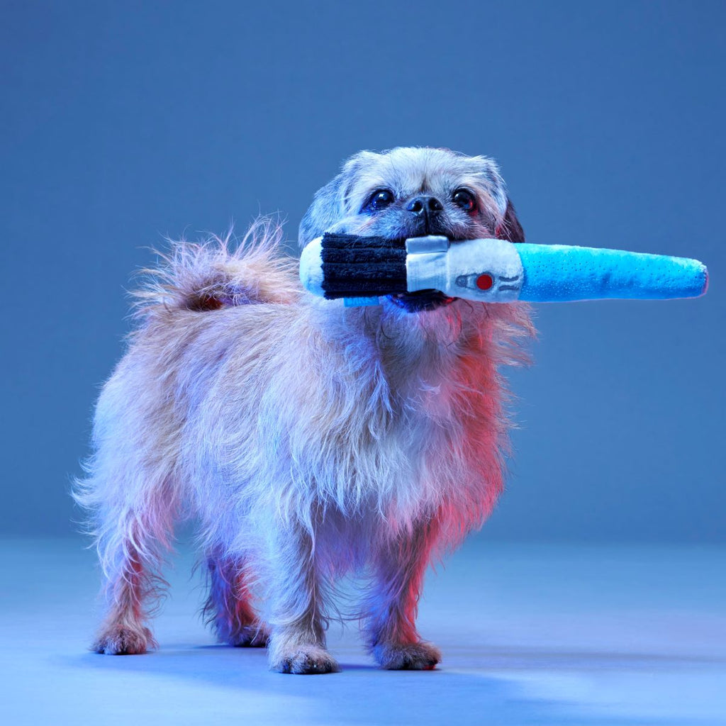 Plush Tug Dog Toy product image 3