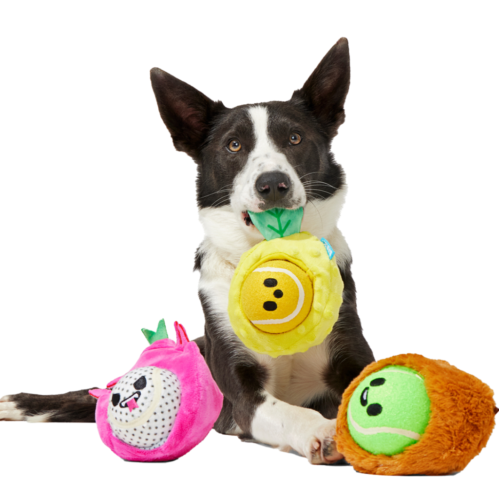 Plush Dog Toy product image 2