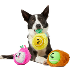 Plush Dog Toy product image 2