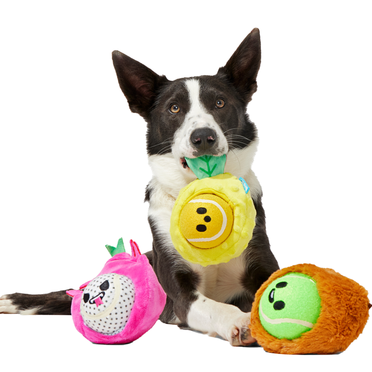 Plush Dog Toy product image 2