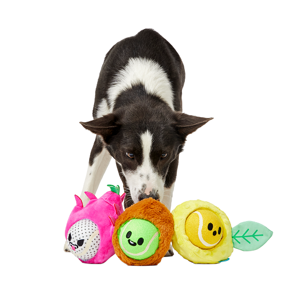 Plush Dog Toy product image 3