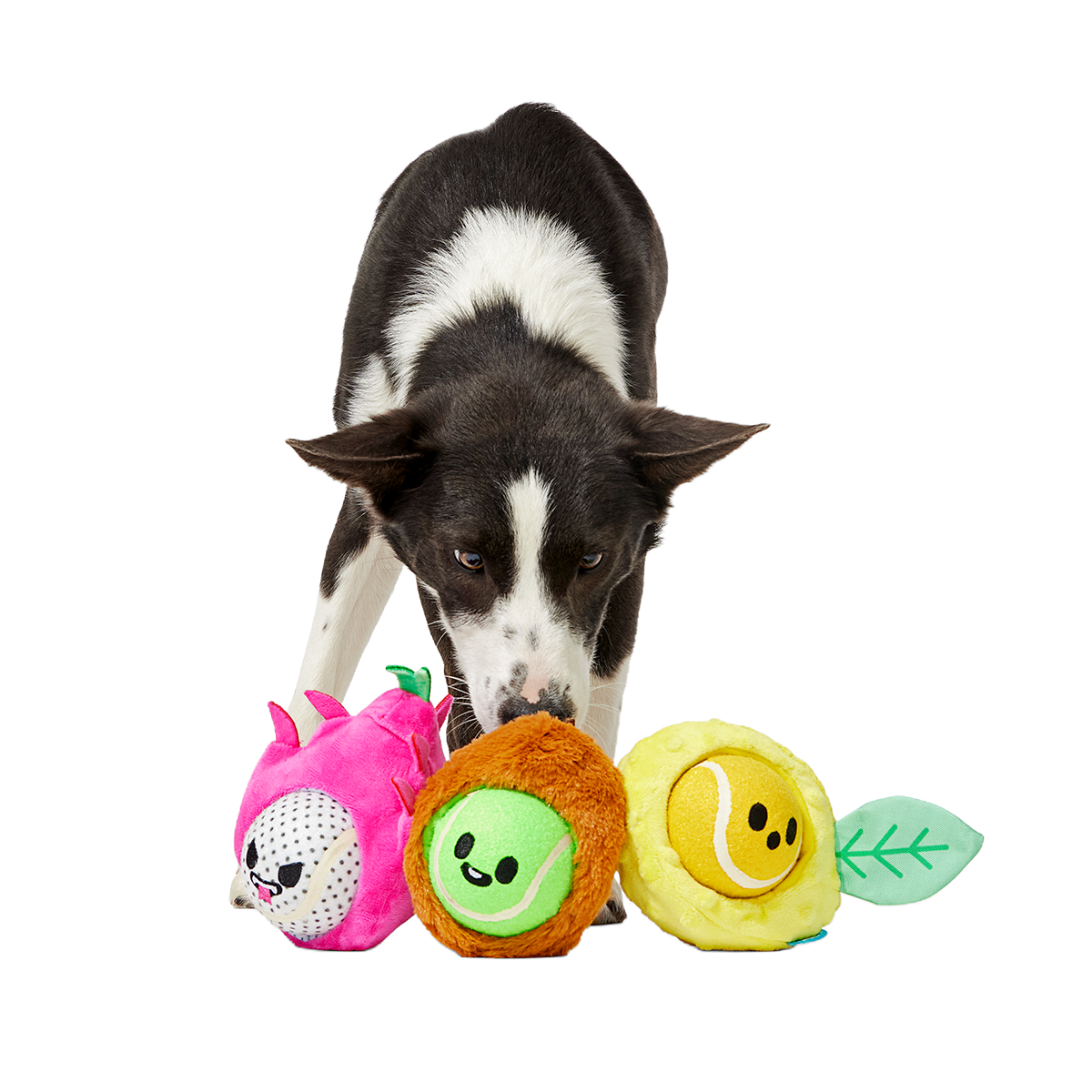 Plush Dog Toy product image 3