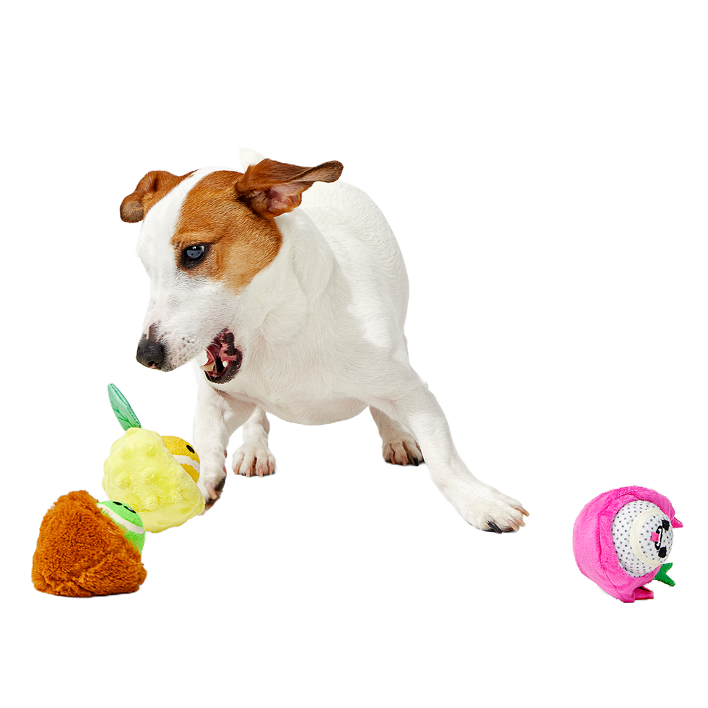 Plush Dog Toy product image 4