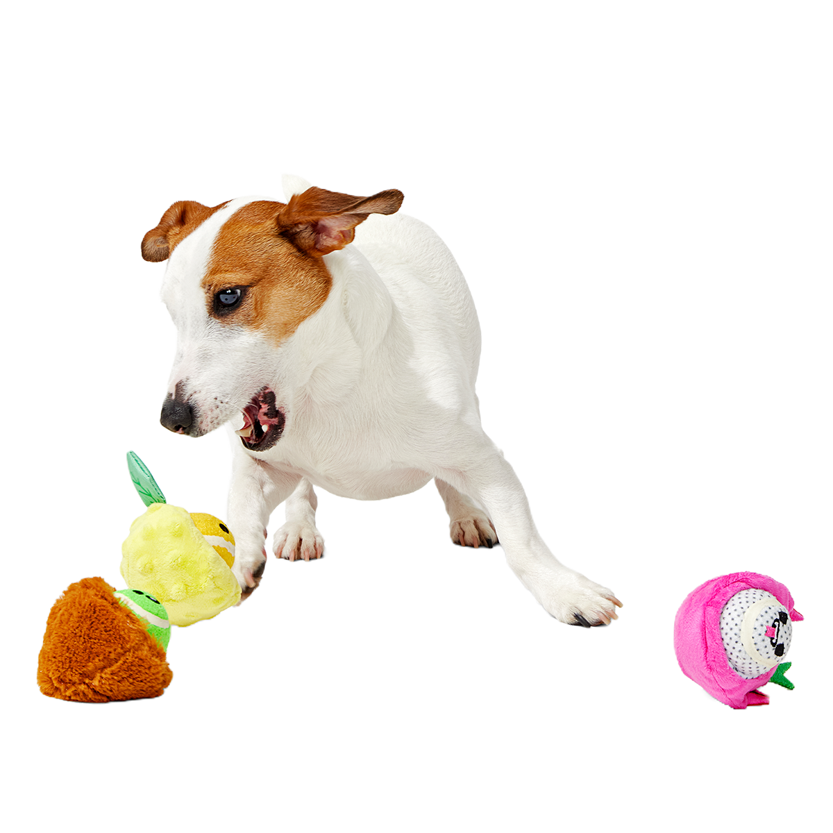 Plush Dog Toy product image 4