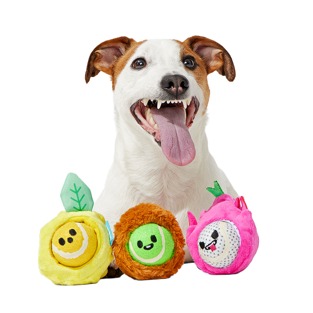 Plush Dog Toy product image 5