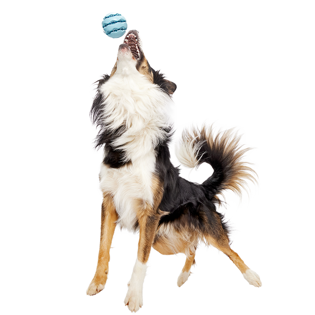 Treat-Dispensing Dog Toy product image 2