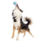 Treat-Dispensing Dog Toy product image 2