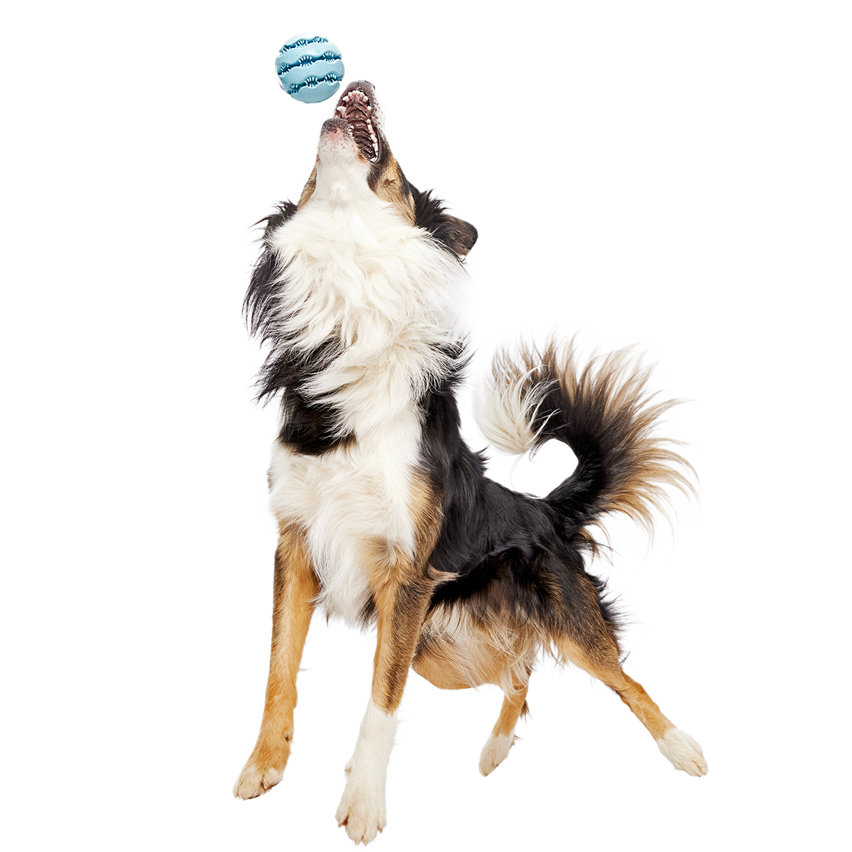 Treat-Dispensing Dog Toy product image 2