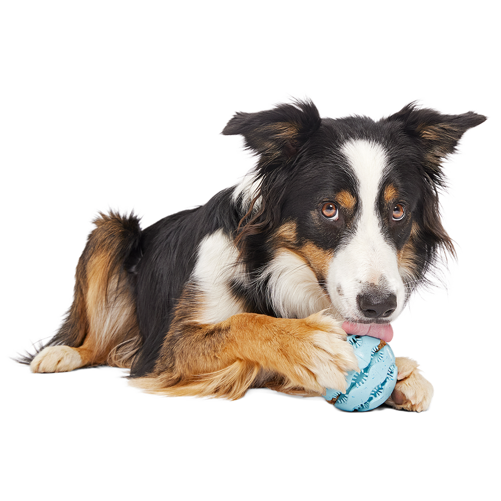 Treat-Dispensing Dog Toy product image 3